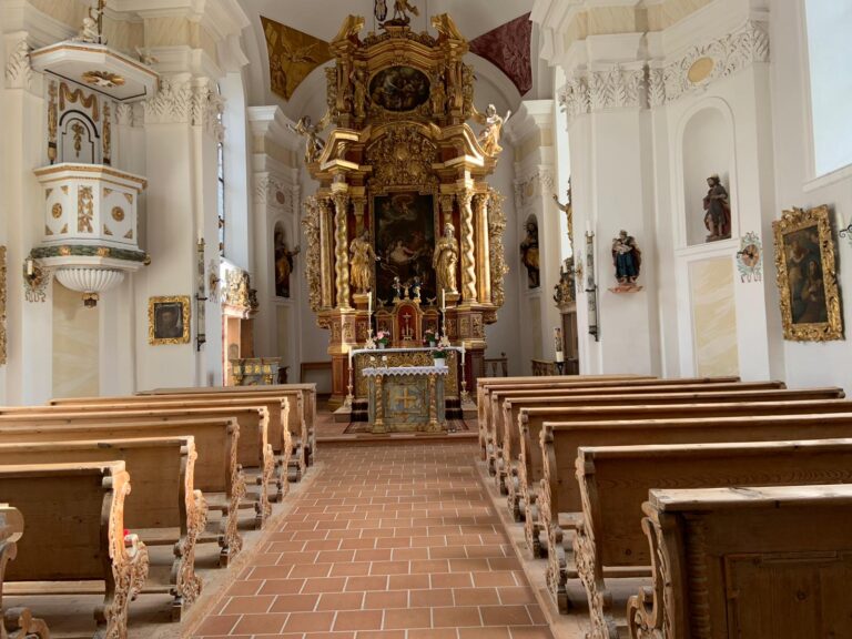 IMG-20221111-WA0036-768x576