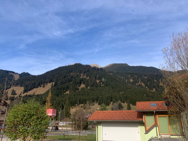 IMG-20221111-WA0041-768x576